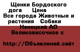 Щенки Бордоского дога.  › Цена ­ 30 000 - Все города Животные и растения » Собаки   . Ненецкий АО,Великовисочное с.